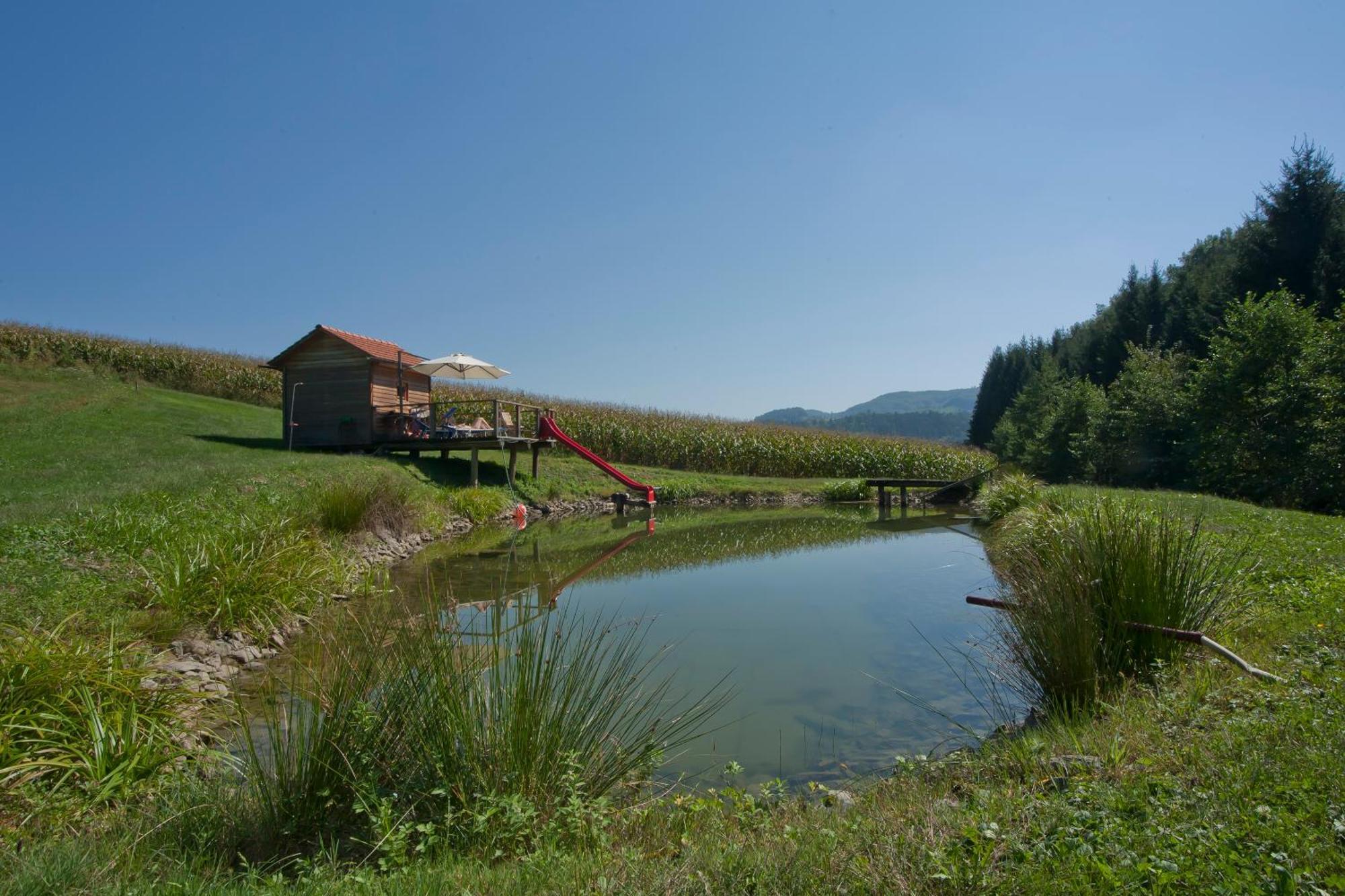 Weingut Winzerhof Gaestezimmer Grebenz Großklein Exterior foto